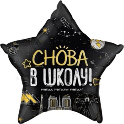 Шар Звезда, Снова в школу, 56см